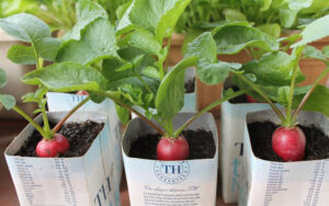 đồ tái chế từ hộp sữa