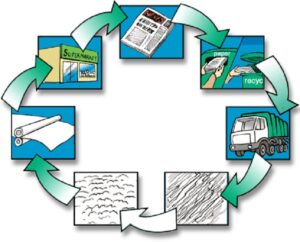 quy trình tái chế giấy
