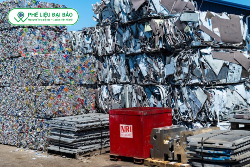 Đại Bảo thu mua với giá cao hơn thị trường và cập nhật liên tục