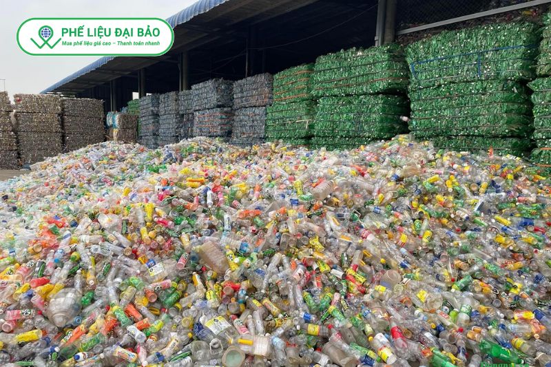 Phế liệu Đại Bảo thu mua đa dạng nhựa phế liệu theo từng chủng loại phổ biến
