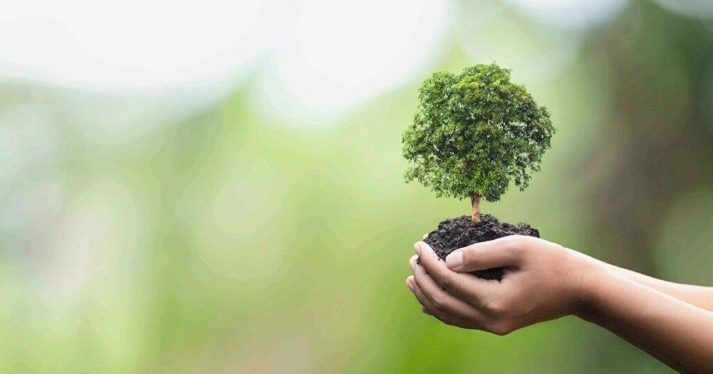 Cam kết bảo vệ môi trường - xử lý đúng quy trình