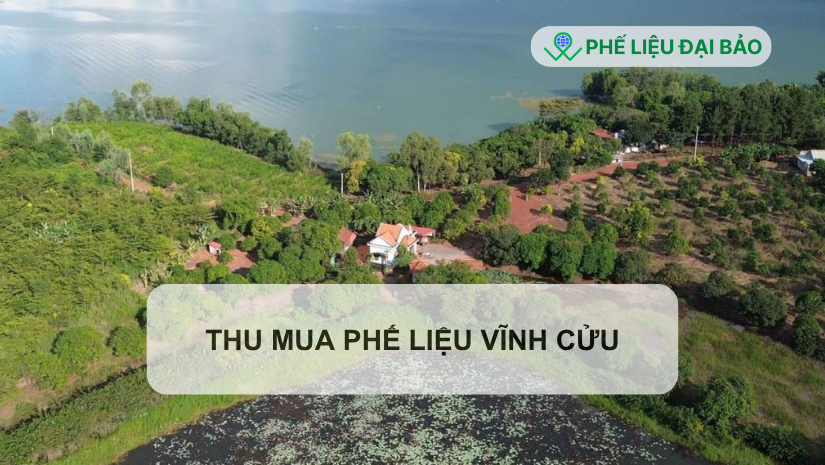 Tổng quan về dịch vụ thu mua phế liệu tại Vĩnh Cửu Tổng quan về dịch vụ thu mua phế liệu tại Vĩnh Cửu