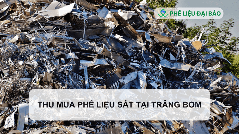 Tìm hiểu nhu cầu thu mua phế liệu sắt tại Trảng Bom Tìm hiểu nhu cầu thu mua phế liệu sắt tại Trảng Bom