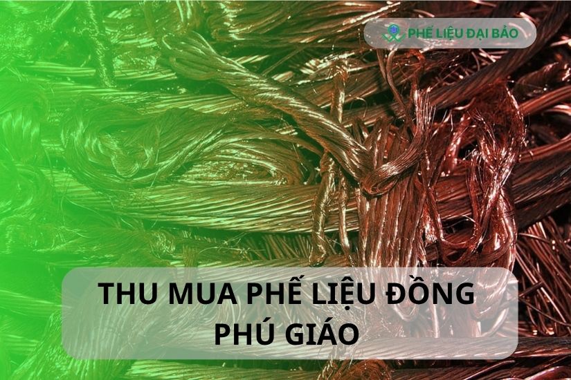 tong-quan-tinh-hinh-thu-mua-phe-lieu-dong-tai-phu-giao-hien-nay tong-quan-tinh-hinh-thu-mua-phe-lieu-dong-tai-phu-giao-hien-nay