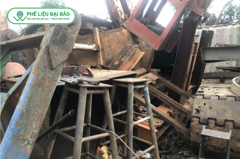 Đại Bảo cân đo tại chỗ và thanh toán đầy đủ ngay sau thu gom