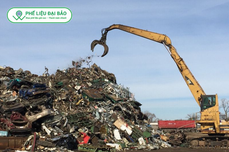 Lô hàng lớn giúp tối ưu chi phí, Đại Bảo tăng giá và ưu tiên thu mua nhanh trong ngày